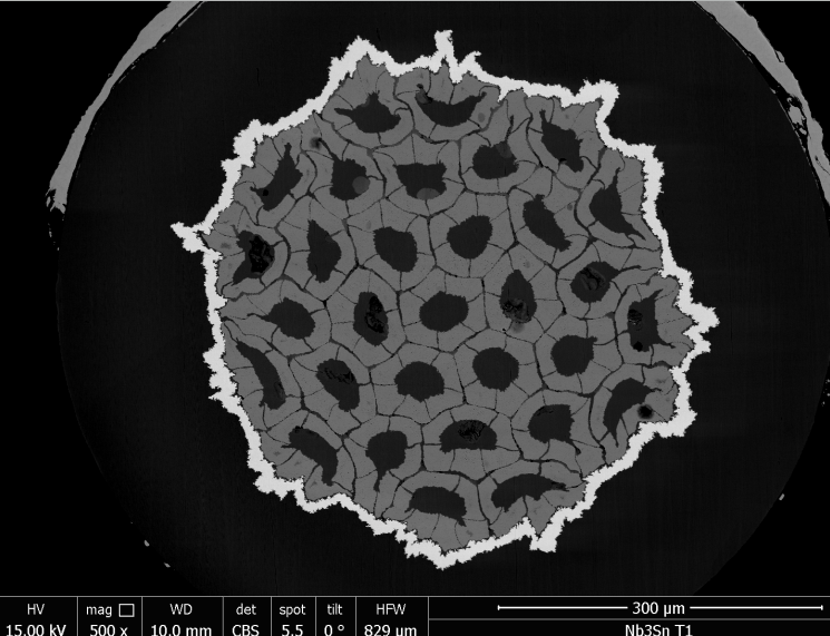 SEM overview image of a cluster wire layout developed by the Bochvar Institute in Russia